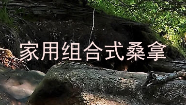 家用组合式桑拿