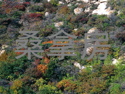 桑拿房