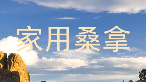 家用桑拿