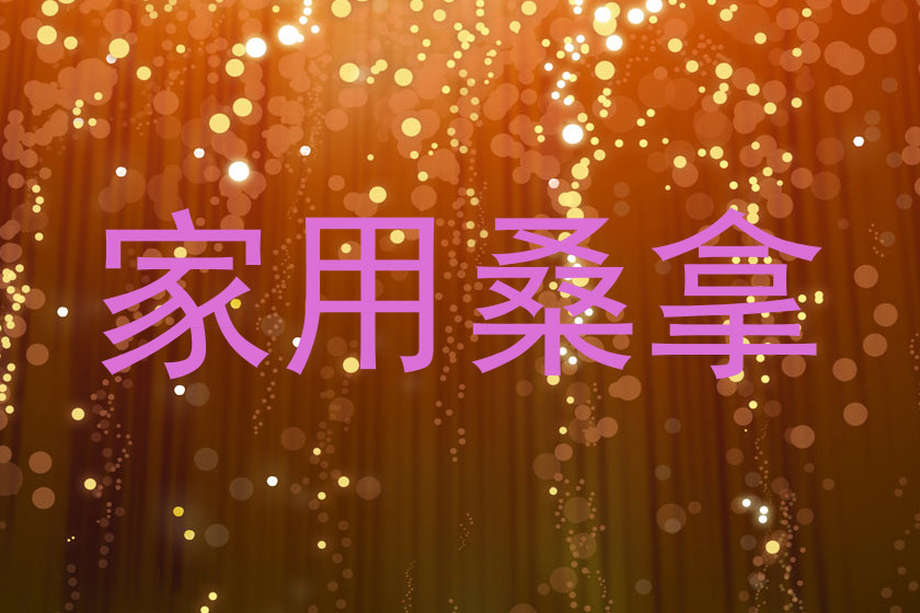 家用桑拿