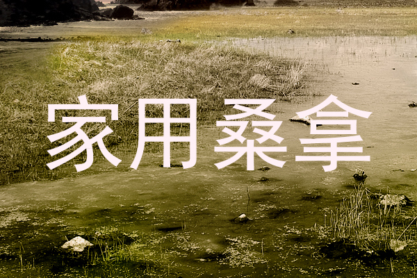 家用桑拿
