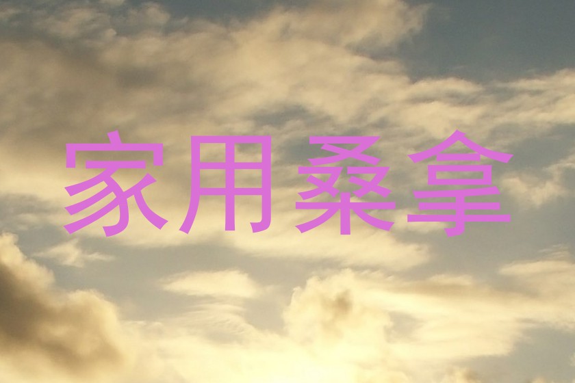 家用桑拿
