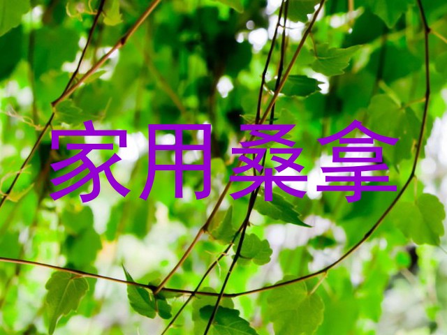家用桑拿