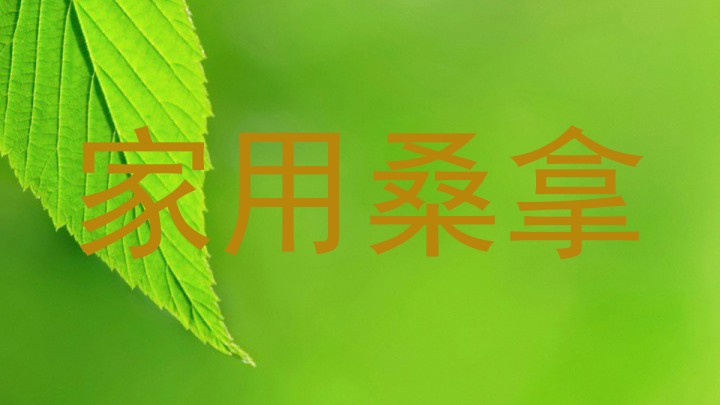 家用桑拿