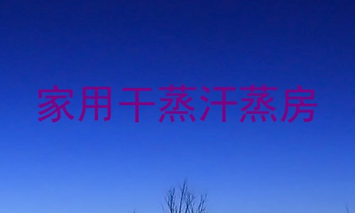 家用干蒸汗蒸房