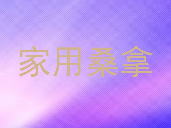 家用桑拿