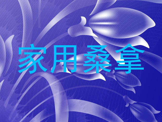 家用桑拿