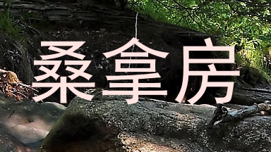 桑拿房