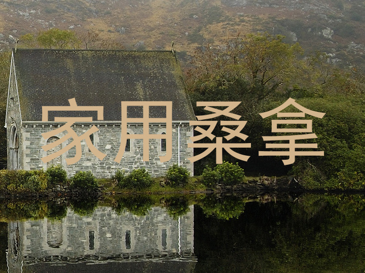 家用桑拿