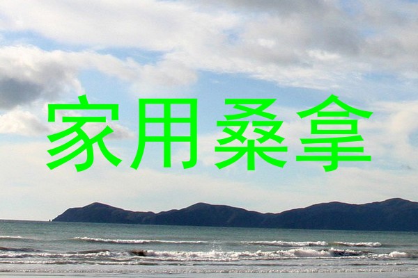 家用桑拿