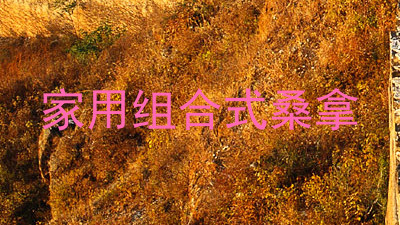 家用组合式桑拿