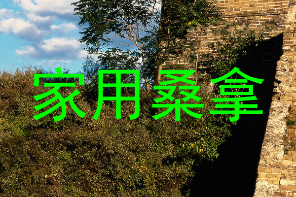 家用桑拿