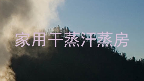 家用干蒸汗蒸房