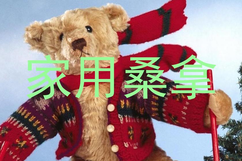 家用桑拿