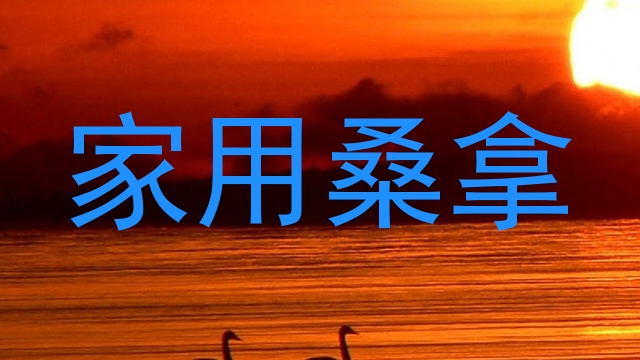 家用桑拿