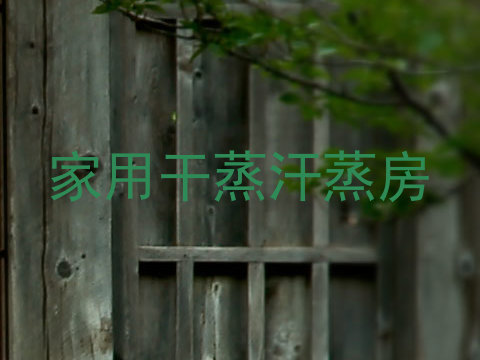 家用干蒸汗蒸房