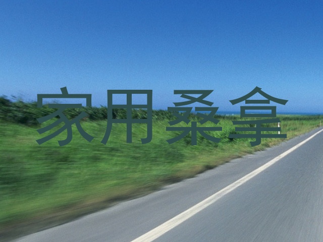 家用桑拿