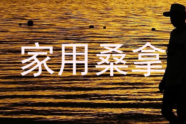 家用桑拿