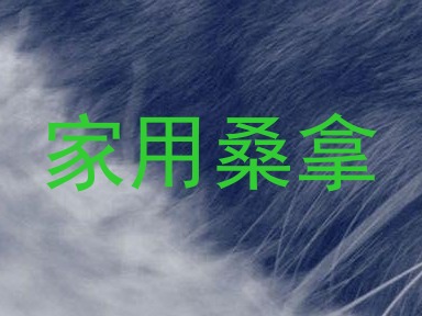 家用桑拿