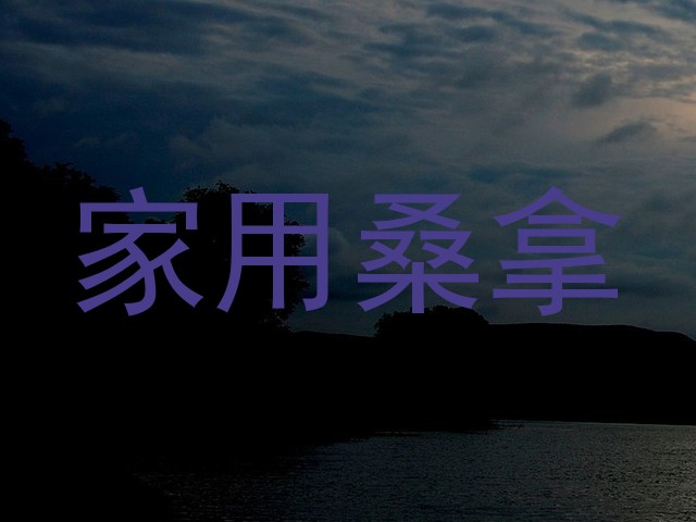 家用桑拿