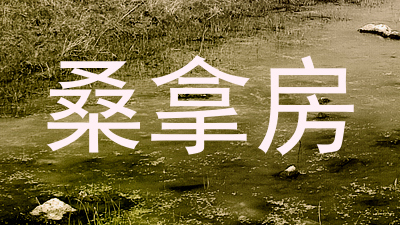 桑拿房