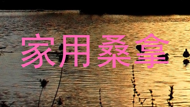 家用桑拿