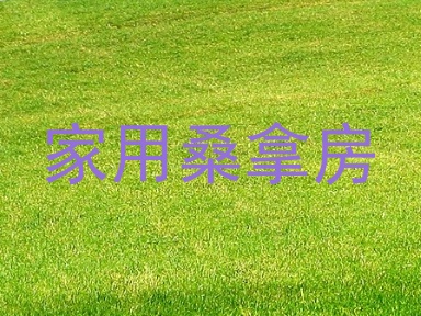 家用桑拿房