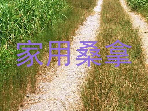家用桑拿