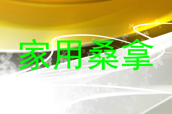 家用桑拿