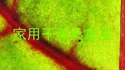 家用干蒸桑拿房