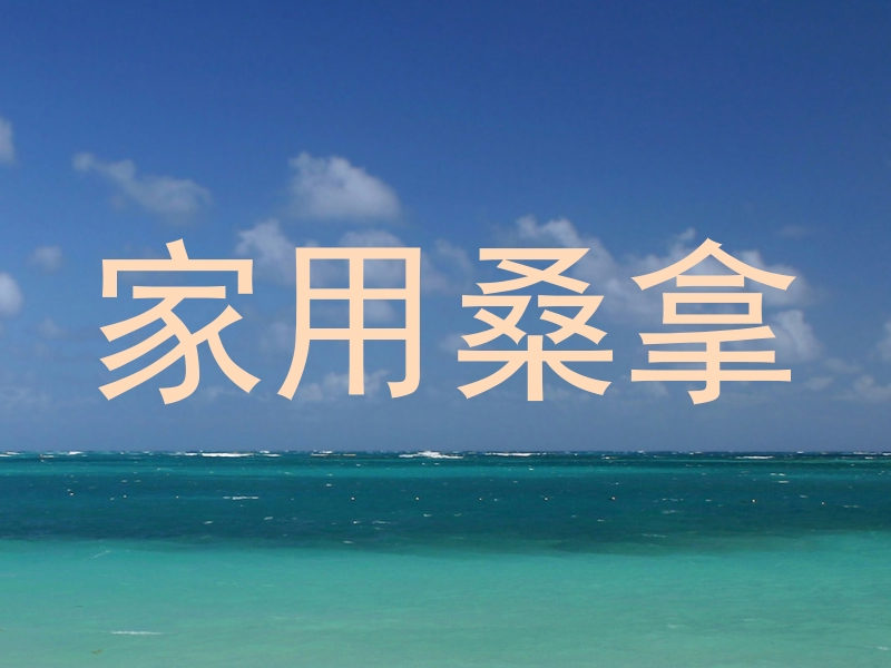 家用桑拿