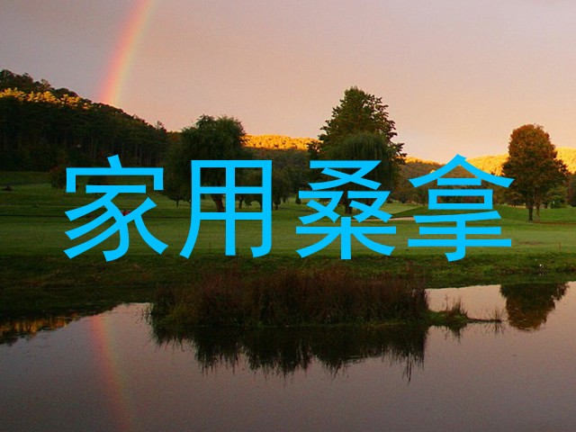 家用桑拿