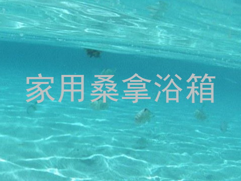 家用桑拿浴箱