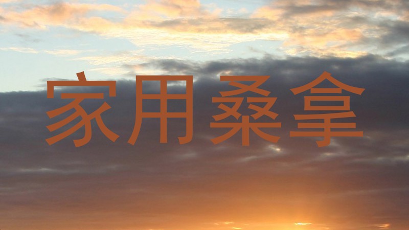 家用桑拿