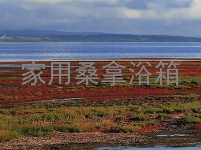 家用桑拿浴箱