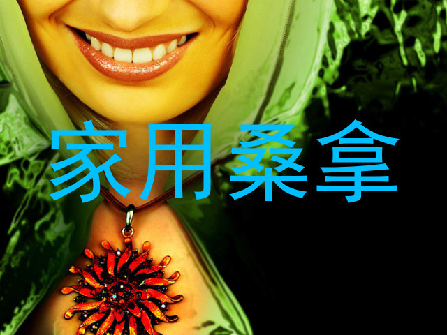 家用桑拿
