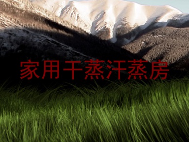 家用干蒸汗蒸房