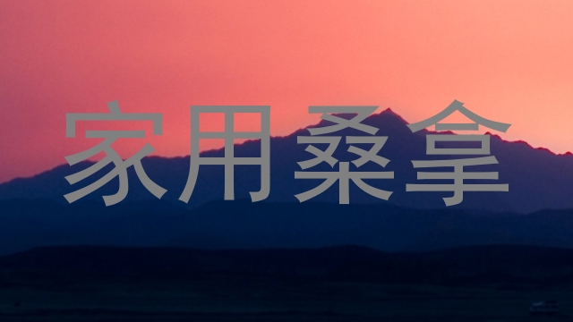 家用桑拿