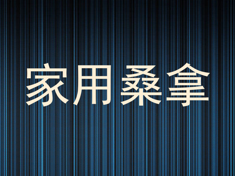 家用桑拿