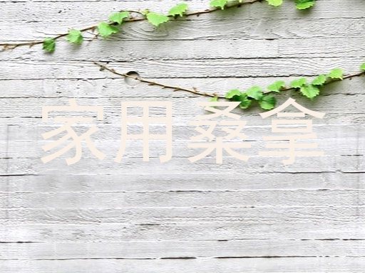 家用桑拿