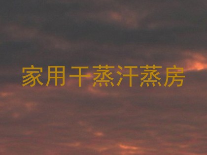 家用干蒸汗蒸房