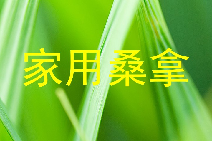 家用桑拿