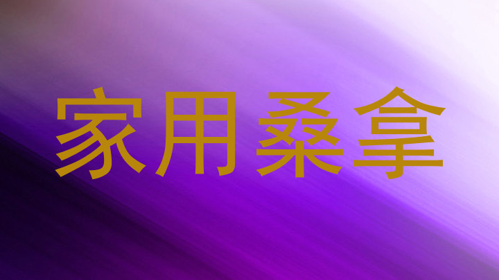 家用桑拿