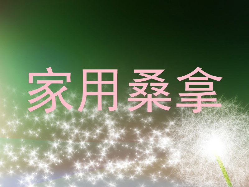家用桑拿