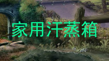 家用汗蒸箱