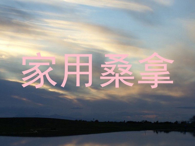 家用桑拿