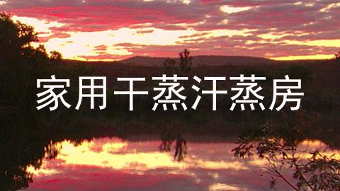 家用干蒸汗蒸房