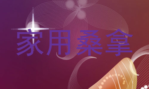 家用桑拿