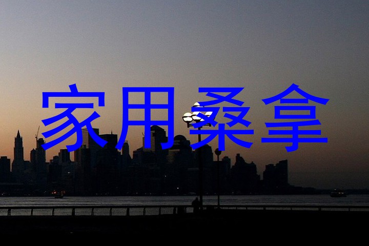 家用桑拿