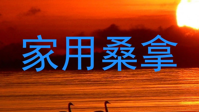 家用桑拿